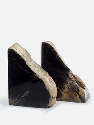 Balfern Petrified Wood Bookends - Hover Image