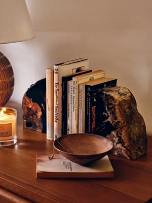 Balfern Petrified Wood Bookends - Listing Image